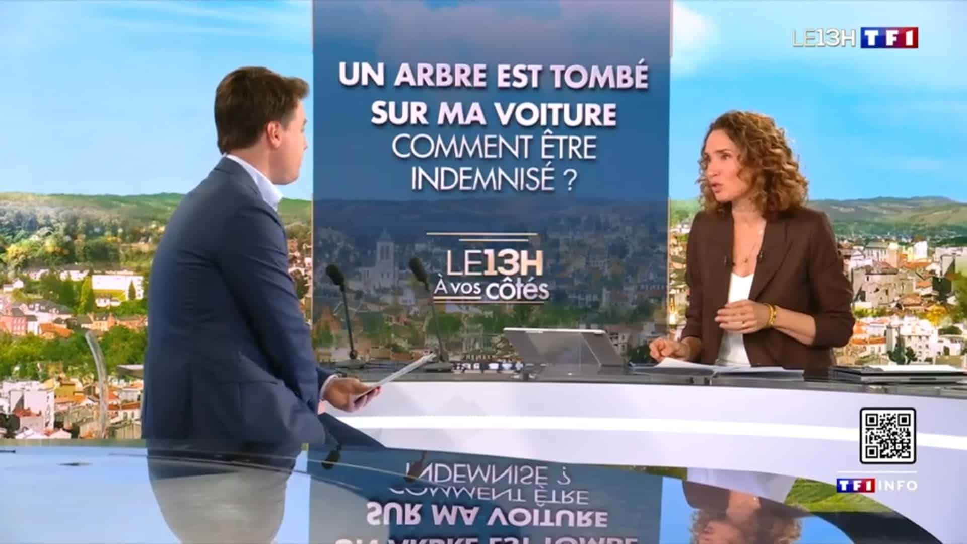 L’arbre d’un particulier est tombé sur ma voiture, à quelle indemnisation ai-je droit ?